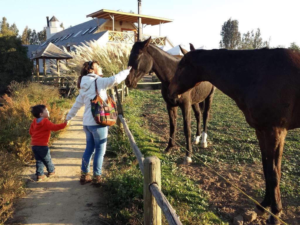 Hotel Boutique La Caballeriza Limache Dış mekan fotoğraf